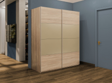 Шкафы-купе 2-х дверные, Шкаф-купе Эста 2-х дверный ДСП/Стекла фисташка/Доводчик 180х66х240