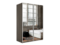 Шкафы-купе 2-х дверные, Шкаф-купе Эста Зеркало+Зеркало 160х66х240