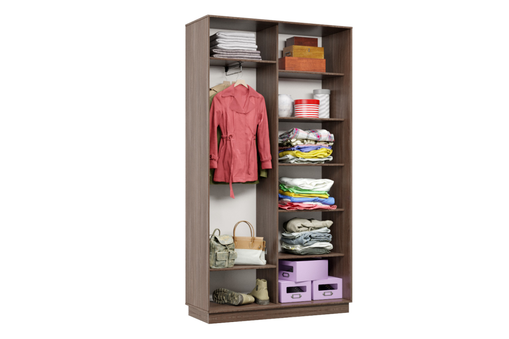 Шкафы-купе, Шкаф-купе Премьер Лайт МИНИ 01 (08;08) двухдверный