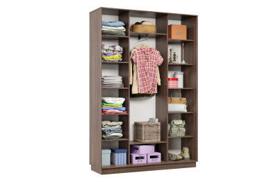 Шкаф-купе Премьер 13 (15;15;15) трёхдверный