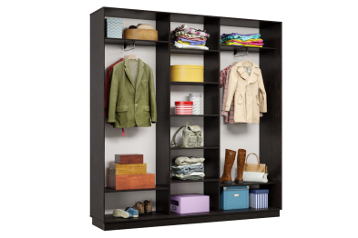 Шкаф-купе Премьер 43 (14;14;14) трёхдверный