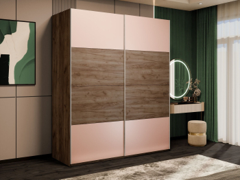 Шкаф-купе Эста 2-х дверный ДСП/Стекла пудра/Доводчик 160х66х240